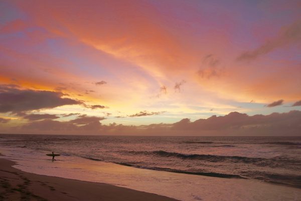 Why Study Yoga Teacher Training at Power of Now Oasis 1