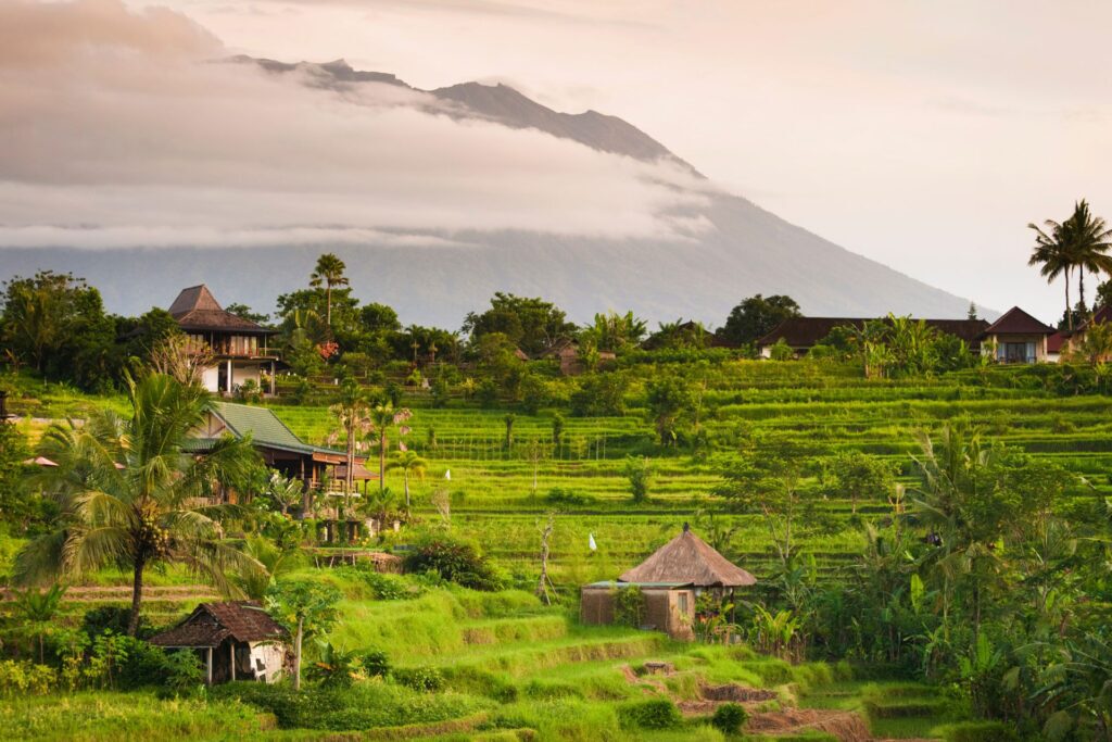 Bali Yoga Retreat: Discover the Top 5 Reasons to Choose Bali for Your Next Retreat 1 Bali Yoga Retreat: Discover the Top 5 Reasons to Choose Bali for Your Next Retreat 1