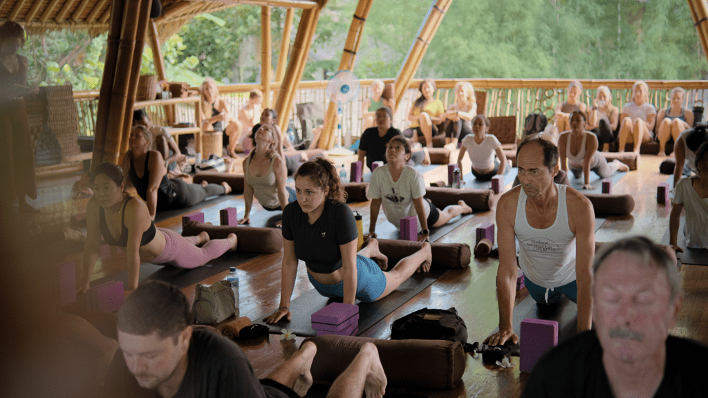 Continue The Flow: Advanced Learning Paths After Your 200-Hour Yoga Teacher Training 5