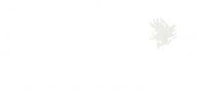 Power of Now Oasis