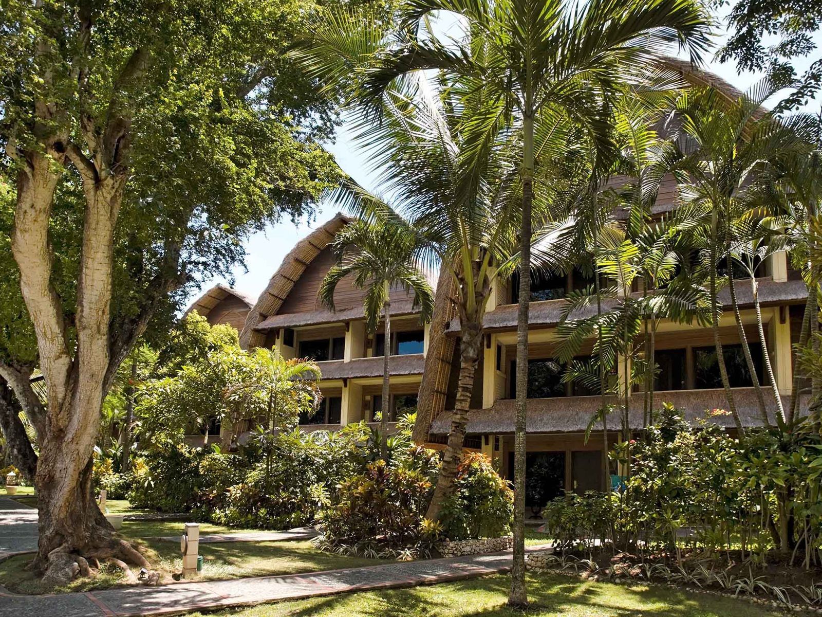 Bali Health and Wellness Retreats 5