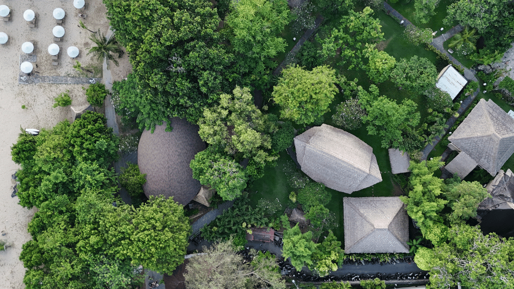 Why a Bali Yoga Retreat is Best in Sanur 1 A drone shot of Power of Now Oasis, a yoga and wellness retreat center in Sanur, Bali, surrounded by lush greenery and located near the beach.